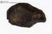 OCSU10T_0005_1